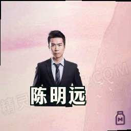 陈明远